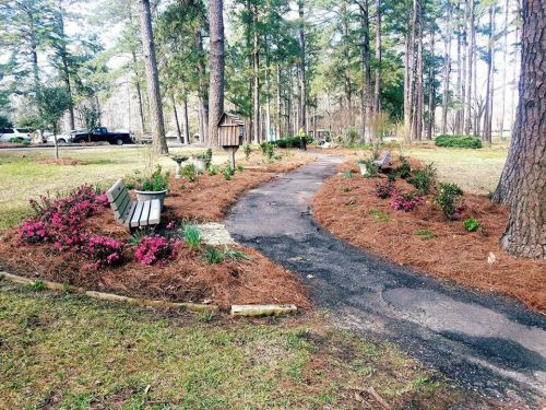 A winding path through a landscaped garden with benches, flowers, and pine straw, surrounded by tall trees.