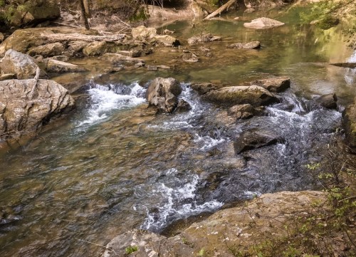 A serene stream flows over rocks, surrounded by lush greenery and trees, creating a peaceful natural scene.