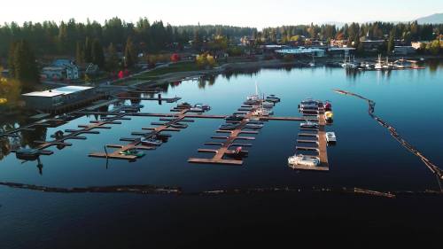 Aerial view of a calm marina with boats docked, surrounded by trees and a small town in the background.