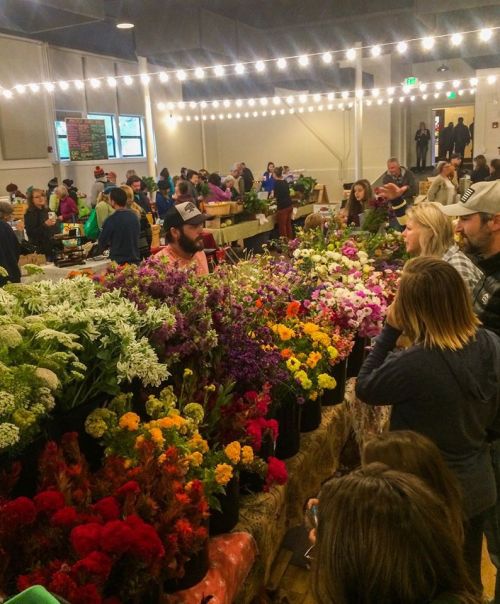 A bustling market scene with people browsing vibrant flower displays under string lights.