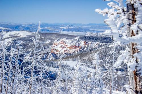 Snow-covered trees frame a scenic view of red rock formations and distant mountains under a clear blue sky.