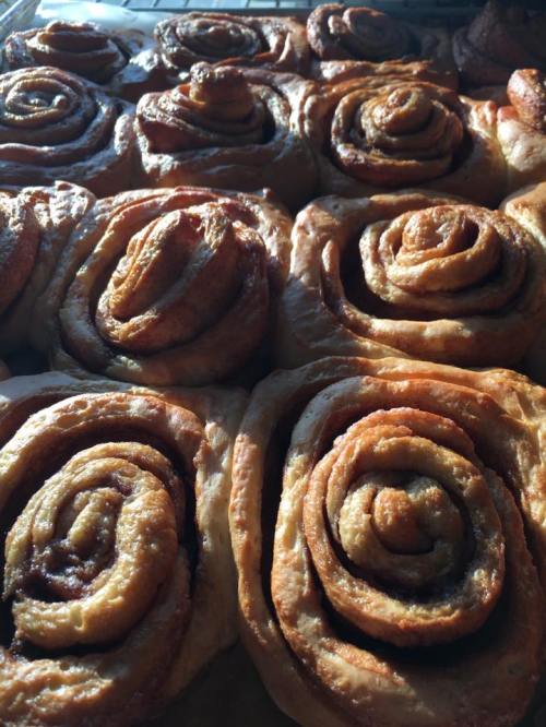 Freshly baked cinnamon rolls with golden-brown swirls, arranged closely together on a tray.