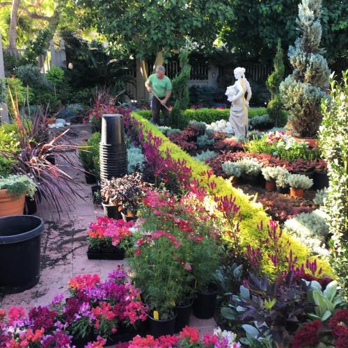 A lush garden filled with colorful flowers and plants, featuring a statue and a person tending to the greenery.