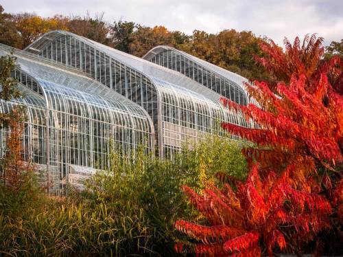 A greenhouse with a glass structure surrounded by vibrant autumn foliage in shades of red and orange.