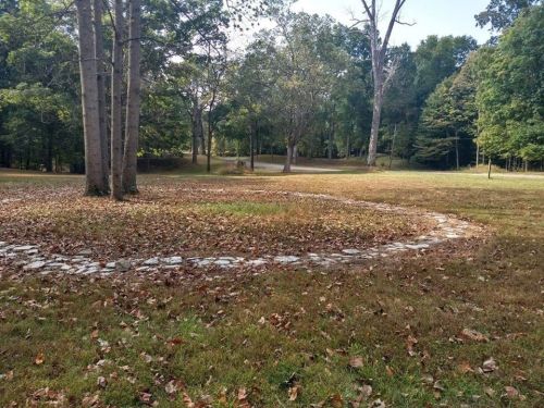 A circular stone path surrounded by trees and fallen leaves in a grassy area.