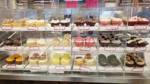 A display case filled with various colorful cupcakes, each topped with frosting and labeled with names.