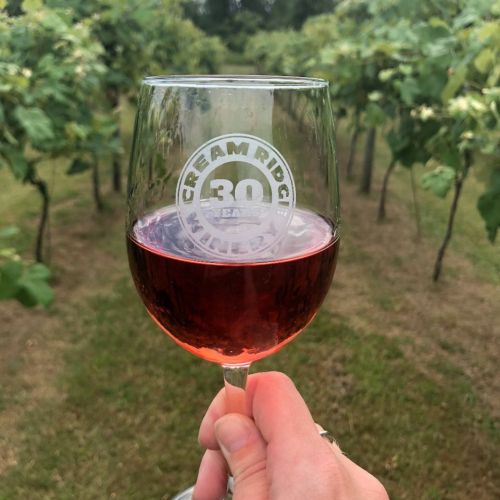 A hand holding a glass of rosé wine in a vineyard, with rows of grapevines in the background.