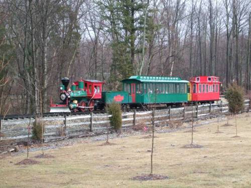 A colorful vintage train with a green passenger car and red caboose travels along a track in a wooded area.