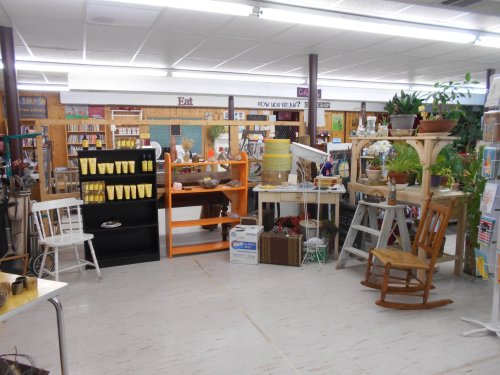 A cozy shop interior filled with shelves of items, plants, and furniture, creating a warm, inviting atmosphere.