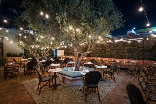A cozy outdoor dining area with string lights, a large olive tree, and tables set for guests at night.