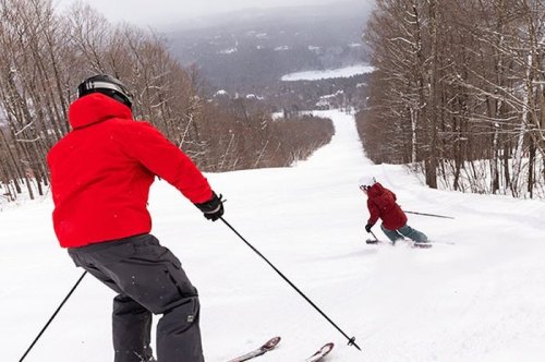 Two skiers navigate a snowy slope surrounded by trees, with a distant view of a lake and mountains.