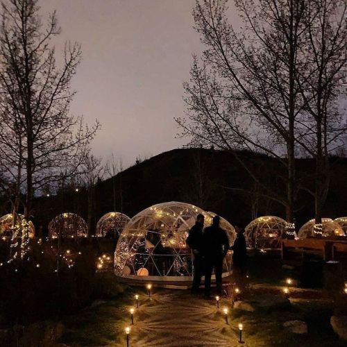 A serene outdoor scene with illuminated geodesic domes surrounded by trees at night.