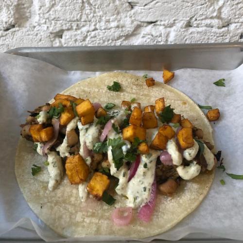 A taco filled with seasoned meat, roasted potatoes, pickled onions, and drizzled with creamy sauce, garnished with cilantro.