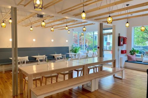 Bright, modern café interior with wooden tables, chairs, and pendant lights, featuring large windows and greenery.