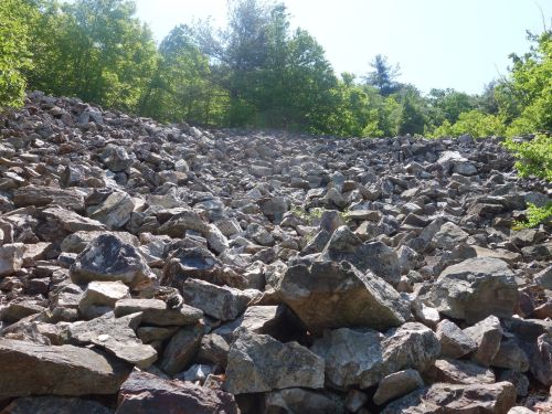 A rocky hillside covered in large stones, surrounded by green trees under a clear blue sky.