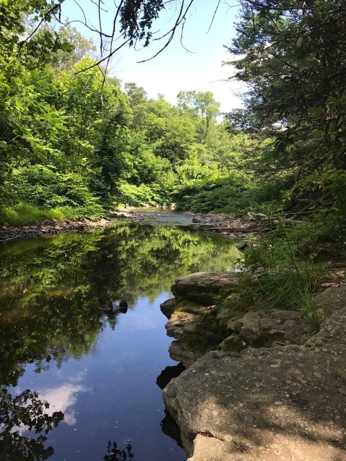 A serene river flows through a lush green landscape, with trees reflecting in the calm water under a clear blue sky.