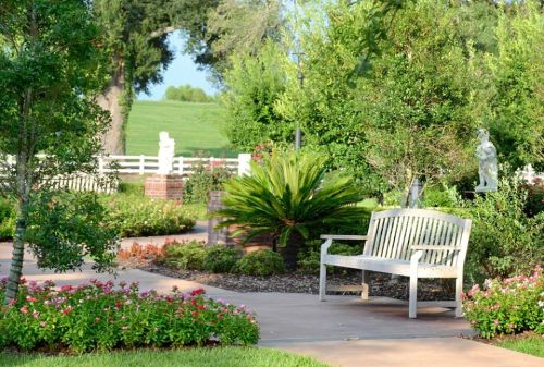 A serene garden with a wooden bench surrounded by lush greenery and colorful flowers, featuring a white fence in the background.