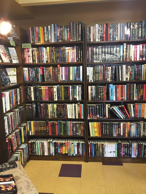 A cozy bookstore with two tall shelves filled with a variety of colorful books.