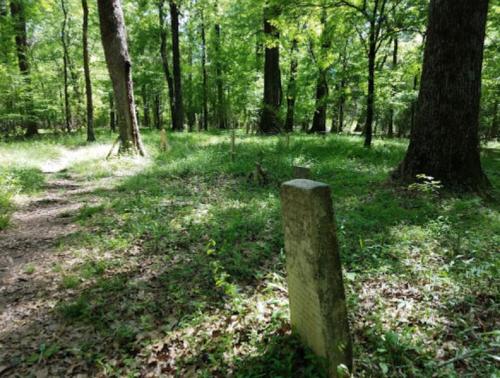 A weathered gravestone stands in a lush, green forest with a narrow path winding through the trees.