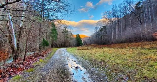 A winding dirt path through a forest, with trees on either side and a blue sky with clouds above.