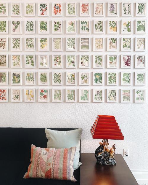A cozy living space featuring a wall of framed botanical prints, a decorative lamp, and a patterned pillow on a sofa.