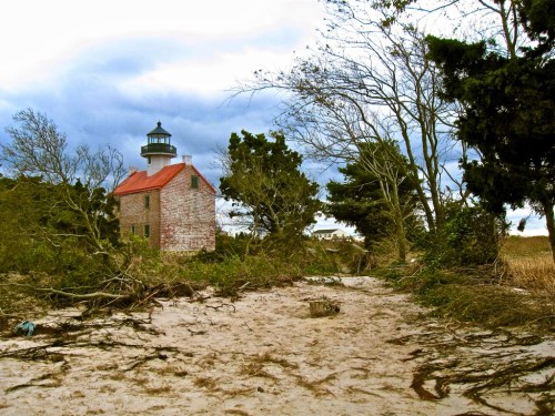A lighthouse stands amidst fallen trees and sandy paths, under a cloudy sky, evoking a serene coastal scene.