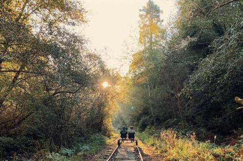 Two people ride a rail cart along a forested track, surrounded by trees and soft sunlight filtering through.