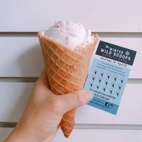 A hand holding a waffle cone filled with strawberry ice cream and a loyalty card for Winter Scoops.
