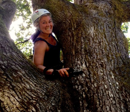 A smiling woman in a helmet climbs a large tree, holding onto a branch with a camera in her hand.