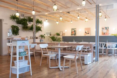Bright, modern café interior with wooden tables, white chairs, hanging plants, and soft lighting.