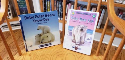 Two children's books about polar bears displayed on a wooden chair, with titles visible: "Baby Polar Bears' Snow-Day" and "Polar Bear Cub."