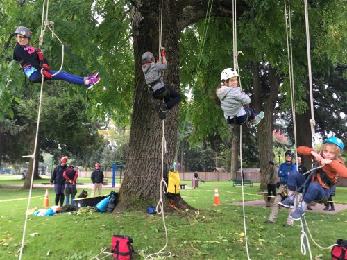 Four children in helmets climbing ropes on trees, with adults supervising in a park setting.