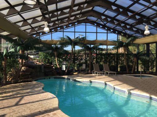 Indoor pool area with palm trees, natural light, and lounge chairs under a glass roof.