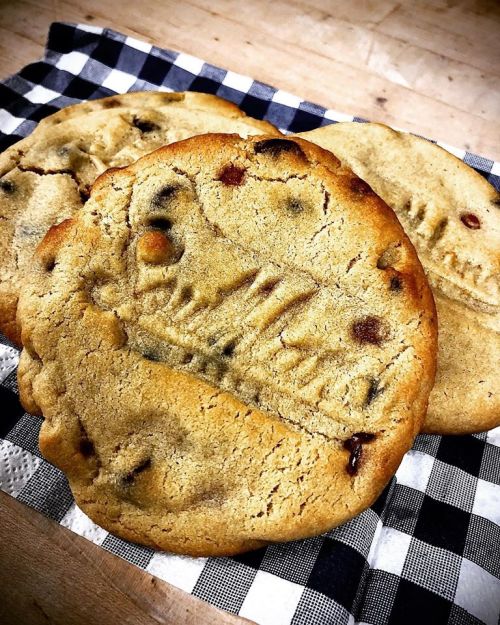Three large, textured cookies with a dinosaur imprint, resting on a black and white checkered cloth.