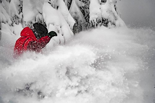 A person in a red jacket struggles against blowing snow in a winter landscape, surrounded by snow-covered trees.