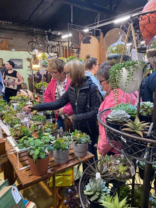 A group of women browsing potted plants at a market, surrounded by various greenery and decorative items.