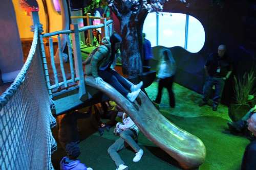 A child slides down a wooden slide in a colorful indoor play area with trees and soft grass.