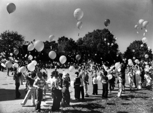 A crowd of children and adults release balloons into the sky on a sunny day in a park.