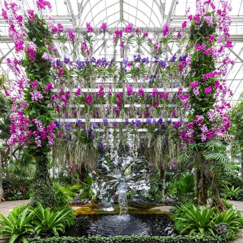 A vibrant display of purple orchids cascading over a reflective sculpture in a lush greenhouse setting.