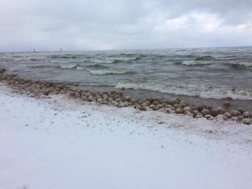 A snowy beach with waves lapping at the shore under a cloudy sky, creating a serene winter landscape.