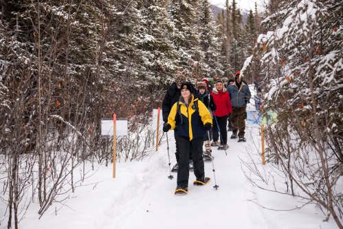 A group of people snowshoeing along a snowy trail surrounded by trees in a winter landscape.