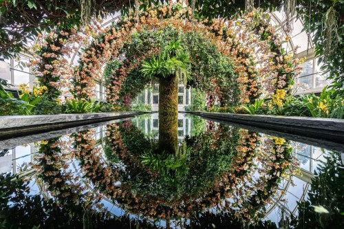 A lush greenhouse with a circular floral arch reflected in a tranquil pond surrounded by vibrant greenery.
