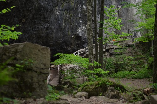 A wooden bridge leads through a lush green forest, surrounded by rocky cliffs and trees.