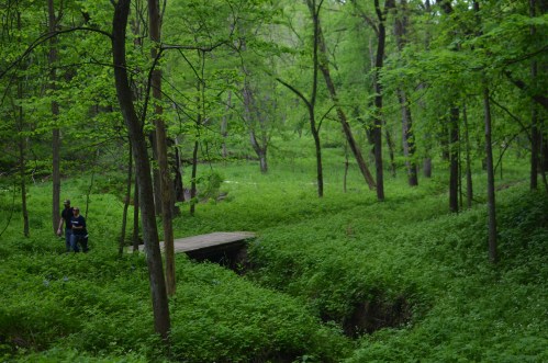 Two people walk along a path in a lush green forest, surrounded by trees and vibrant foliage.