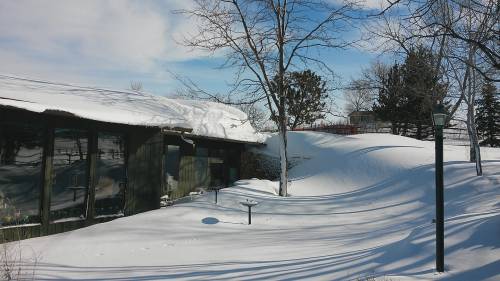 A snow-covered landscape featuring a modern building, trees, and a clear blue sky.
