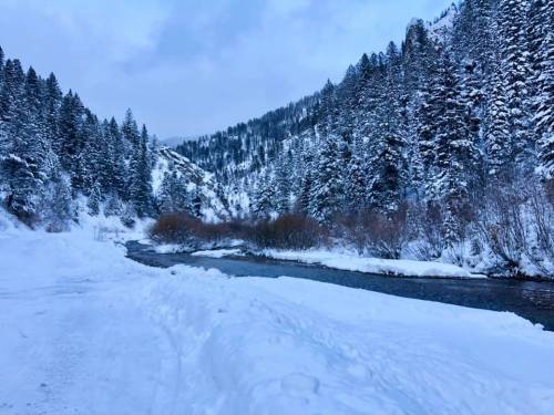 Snow-covered landscape with a winding river, surrounded by tall evergreen trees and mountains under a cloudy sky.