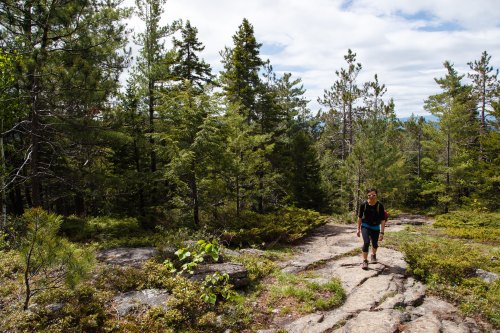 A hiker walks along a rocky trail surrounded by lush green trees and a cloudy sky.