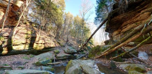 A serene forest scene with rocky cliffs, trees, and a small stream flowing through a sunlit canyon.