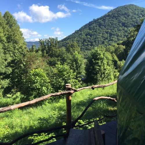A scenic view of lush green trees and a mountain under a blue sky with fluffy clouds.