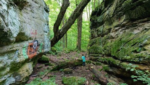 A person stands between two moss-covered rock formations in a lush green forest. Graffiti is visible on one rock.